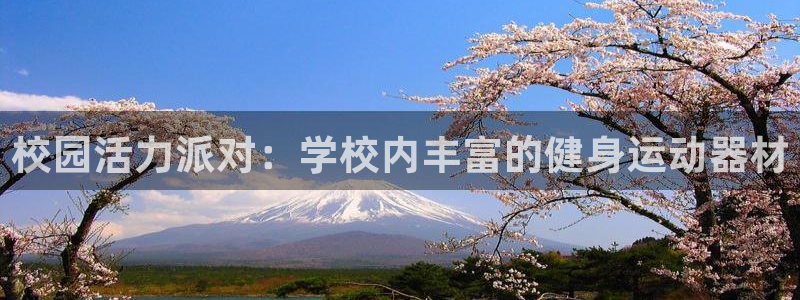 BWIN体育官网下载平台APP:校园活力派对:学校内丰富的健