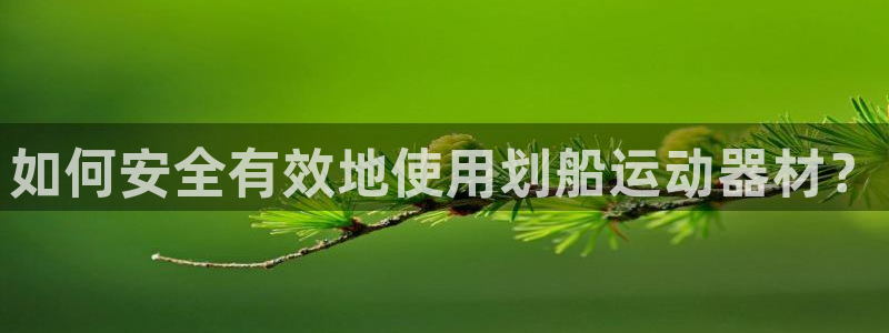 德国BWIN体育官方正版app集团:如何安全有效地使用划船运