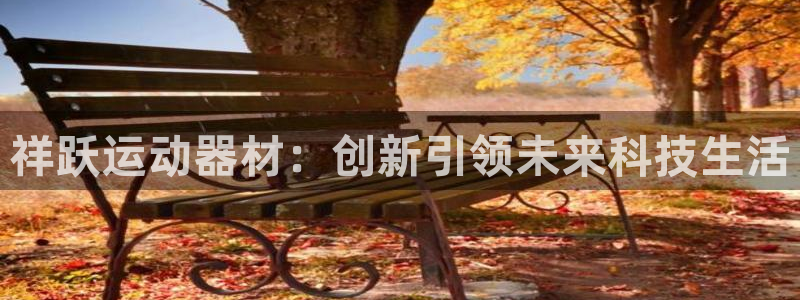 BWIN体育官网下载招商电话地址是多少:祥跃运动器材:创新引